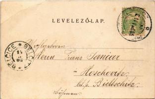 1902 Budapest XVIII. Pestszentlőrinc, Pusztaszentlőrinc, Szentlőrinc; Podoletz Gusztáv üzlete és saj...