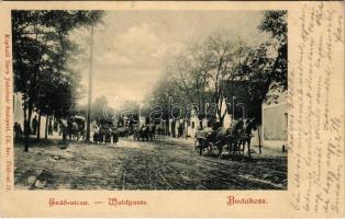 1902 Budakeszi, Erdő utca, lovaskocsik. Stern Jakab kiadása (fa)