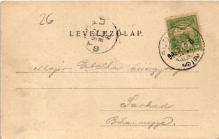 1902 Budakeszi, Erdő utca, lovaskocsik. Stern Jakab kiadása (fa)