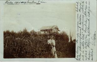 1901 Módos, Jasa Tomic; nyaraló szőlőskerttel / villa, vineyard. photo (EK)
