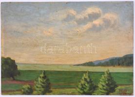 Jelzés nélkül: Fűzfő, 1944 (Balatonfűzfő). Olaj, vászon, datált (906), 34,5x49,5 cm