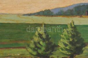 Jelzés nélkül: Fűzfő, 1944 (Balatonfűzfő). Olaj, vászon, datált (906), 34,5x49,5 cm