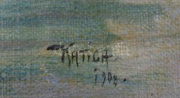 Katica 1908 jelzéssel: Romantikus táj teliholddal. Olaj, karton, 29,5x44,5 cm