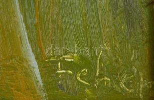 Fehér László jelzéssel: Séta a hóban. Olaj, farost, fa keretben. 40x50 cm