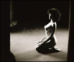 A női test szépsége, különböző időpontokban, eltérő helyszíneken és több fotómodell közreműködésével...