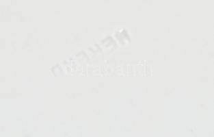 1952 Herendi porcelán tányér mély és lapos Rákosi címerrel. Feltehetően gyártás előtti egyedi mintad...