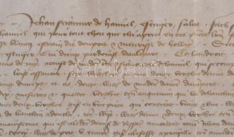 1435 Adóslevél Franciaországi Jehan de Hamnie részéről, melyben kijelenti,hogy tartozása fejében bir...