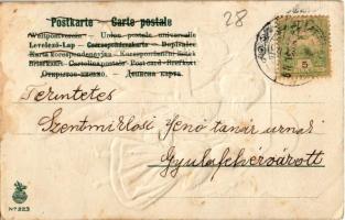 Boldog Újévet! / New Year greeting with chimney sweeper and pig. No. 223. Emb. litho (EB)