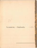 Budapest, Erzsébet híd, utcaseprő. Hajtatlan panoráma képeslap, Taussig Arth. 5132. (ragasztónyom / ...