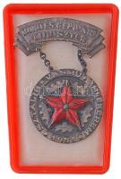1951. Kohó- és Gépipari Miniszter - Sztálin Vasmű Emlékérem 1951 vas/acél kitüntetés, műanyag tokban T:2