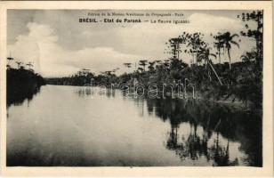 Paraná, Le fleuve Iguassú / Iguazu river. Edition de la Mission Brésilienne de Propagande