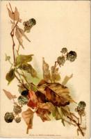 Flowers. Verlag von Wezel & Naumann Serie 30. No. 10. litho s: C. K.