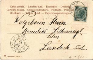 1903 Liebesboten / Romantic Art Nouveau floral greeting card litho (EK)