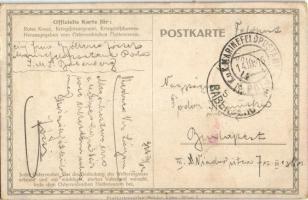 1916 K.u.K. Kriegsmarine / WWI Austro-Hungarian Navy, mariner with naval flag. Offizielle Karte für ...