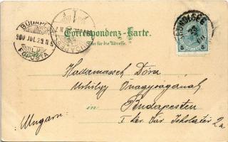 1900 Grundlsee, lake. Aquarellkarte Regel & Krug 3095. litho (fl)