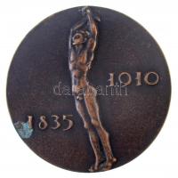 Madarassy Walter (1909-1994) 1972. "Székely Bertalan / 1835-1910" Br emlékérem (72mm) T:2,...