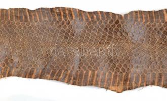 Kígyóbőr kikészítve 180 cm