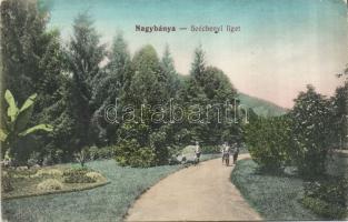 Nagybánya Széchenyi park