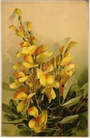 Flowers. Meissner & Buch Künstler-Postkarten Serie 1670. Glycine und Goldregen litho s: C. Klein (fl)