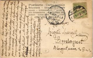 1906 Taracköz, Teresva; szilvalekvár befőzés üstben / plum jam making. photo (EK)