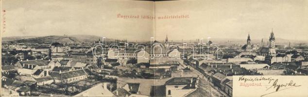 Nagyvárad panorama postcard