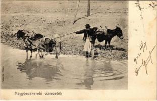 1902 Nagybecskerek, Zrenjanin, Veliki Beckerek; vízvezeték, vízhordó szamarak. Felvette Oldal / water transporting donkeys