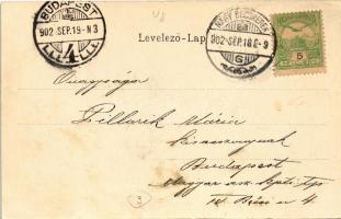 1902 Nagybecskerek, Zrenjanin, Veliki Beckerek; vízvezeték, vízhordó szamarak. Felvette Oldal / wate...