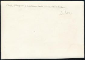 cca 1910 A "M. Kir. Állami Uszó Dokk"-ról készült fotó, hátulján felirattal, 17x11,5 cm