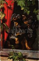 Dachshund dogs. T.S.N. Serie 674. (EB)