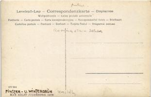 Ramingstein, Burg Finstergrün, Wilhelm Mottl. Tischler / castle. Max Helff photo