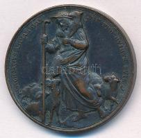 Vatikán 1878-1903. "XIII. Leó" Br emlékérem (30mm) T:2
Vatican 1878-1903. "Leo XIII&...