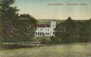 Kolozsborsa Bánffy castle