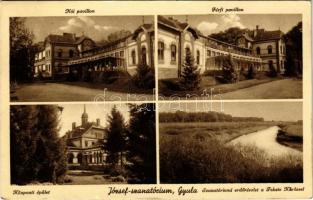 1939 Gyula, József szanatórium, Női pavilon, férfi pavilon, központi épület, szanatóriumi erdő részlet a Fekete-Körössel