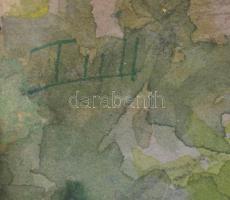 Tull jelzéssel: Táj. Akvarell, papír, üvegezett, sérült keretben. 29x24 cm