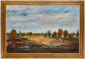 Hajós Hollanda Éva (1935-): Táj tanyával. Olaj, farost, jelzett, fa keretben, 40x60 cm