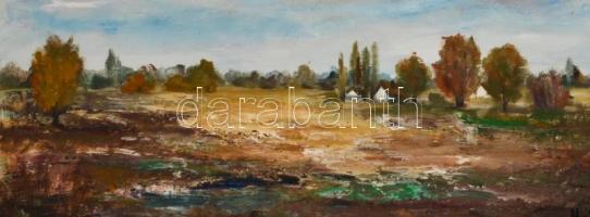 Hajós Hollanda Éva (1935-): Táj tanyával. Olaj, farost, jelzett, fa keretben, 40x60 cm