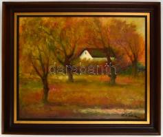 Gádor Emil (1911-1998): Őszi táj. Olaj, farost, jelzett, díszes fa keretben, 50×60 cm