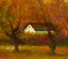 Gádor Emil (1911-1998): Őszi táj. Olaj, farost, jelzett, díszes fa keretben, 50×60 cm