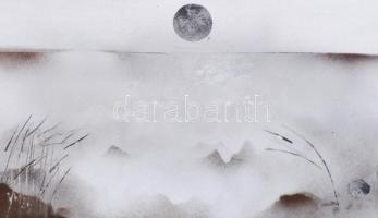 Udvardi Erzsébet (1929-2013): Balaton. Olaj, farost, jelzett, fa keretben, 25x80 cm. / Erzsébet Udva...