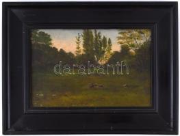 Olv. jelzéssel: Tisztás. Olaj, vászon, sérült, fa keretben, 20x31 cm