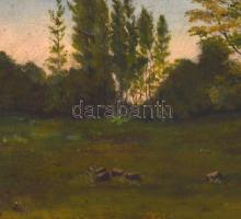 Olv. jelzéssel: Tisztás. Olaj, vászon, sérült, fa keretben, 20x31 cm