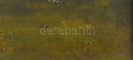 Olv. jelzéssel: Tisztás. Olaj, vászon, sérült, fa keretben, 20x31 cm