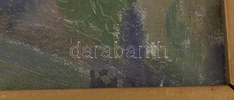 Olvashatatlan jelzéssel (Ka...): Vízparti épület (hátoldalán olvashatatlan címmel: .... Borgyár háza...