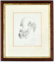 Krasznai János (1930-): Hippokrátész. Ceruza, papír, jelzett. Fa keretben, 12,5×10,5 cm