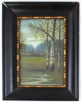 Ledniczky Z, jelzéssel: Gólya. Olaj, karton. Díszes, üvegezett, sérült fa keretben, 30×20 cm