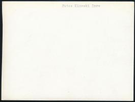 cca 1934 Kinszki Imre (1901-1945) budapesti fotóművész hagyatékából, feliratozott vintage fotó (Gyík...