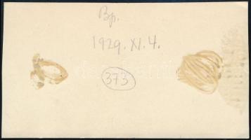 1929 Kinszki Imre (1901-1945) budapesti fotóművész hagyatékából, a szerző által datált és feliratozo...