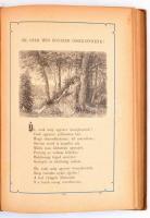 Költők lugasa. Az ujabbkori magyar költészet termékeinek képekkel díszített gyűjteménye. Az eredeti ...