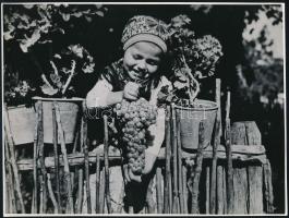 cca 1950 Kerny István (1879-1963) budapesti fotóművész hagyatékából jelzés nélküli, vintage fotó (Kislány szőlővel), 17,7x23,6 cm