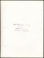 cca 1940 Korschelt Miklós (1900-1982) budapesti festő- és fotóművész hagyatékából, pecséttel jelzett...
